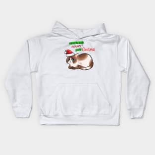 Grumpy Litte Christmas Kids Hoodie